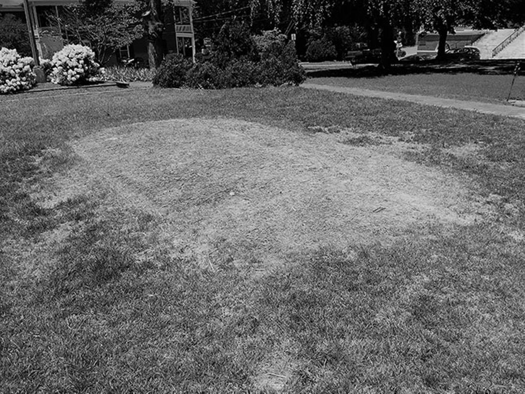 The now naked site of Charlottesville's Robert E. Lee monument. (Catesby Leigh) The now naked site of Charlottesville's Robert E. Lee monument. (Catesby Leigh)