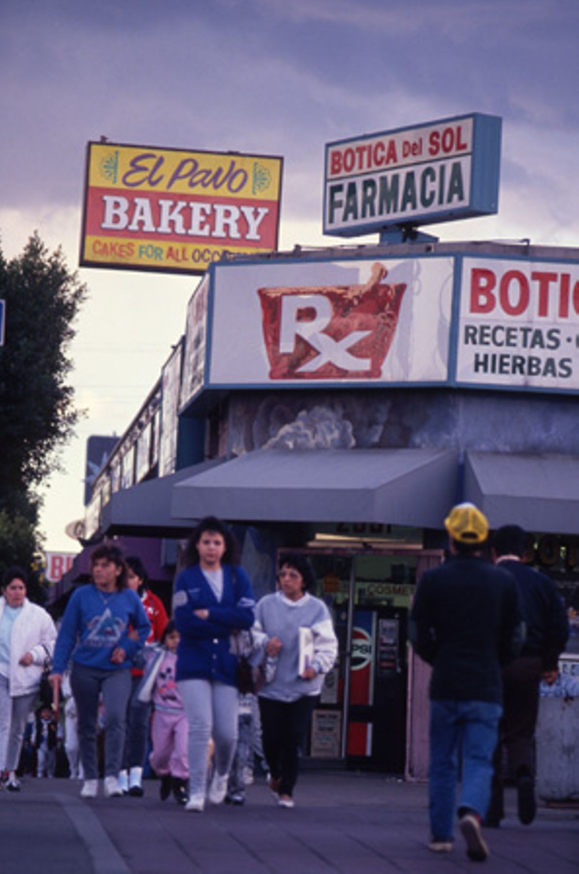 Latinos now make up nearly half of Los Angeles County's residents.