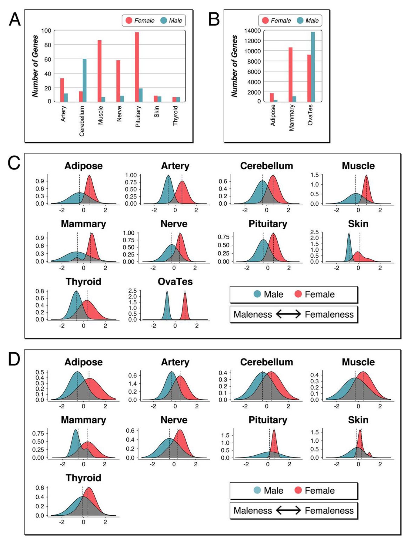Multi-panel charts comparing male and female gene expression across tissues using bar graphs and density plots.
